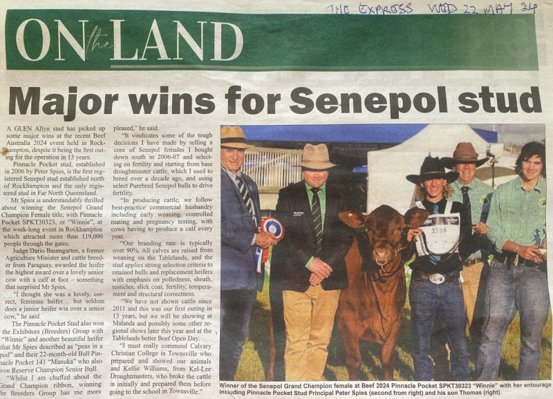 Major wins for Senepol Stud